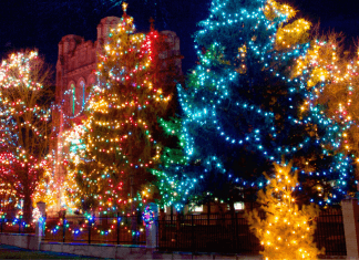 Best Places To See Christmas Lights in the El Paso Area