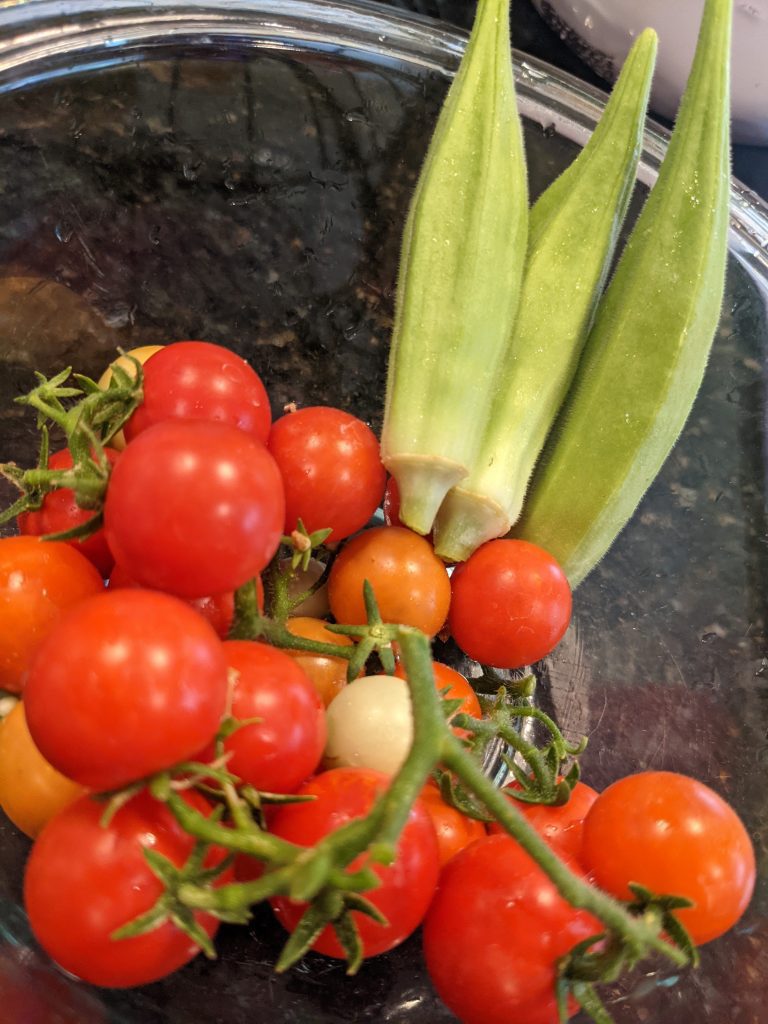 garden fresh tomatoes and okra
